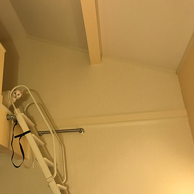 akuakuさんの実例写真