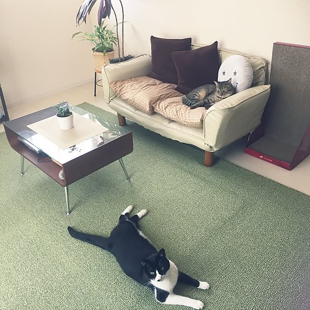 kirinさんの実例写真