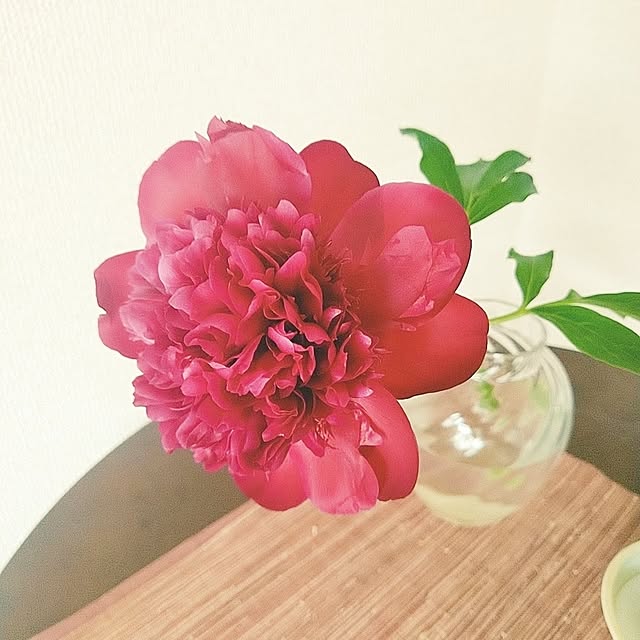 Takakoさんの実例写真