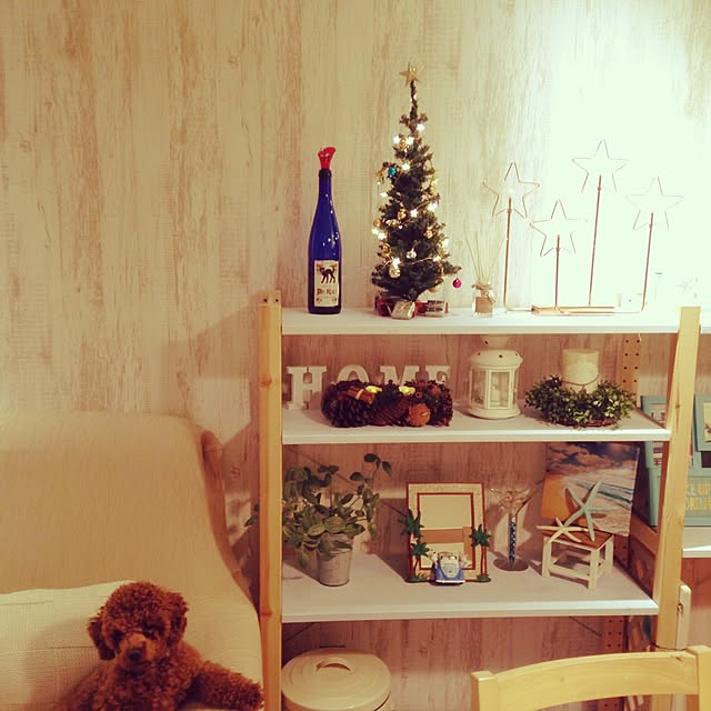 cocoshokolaさんの実例写真