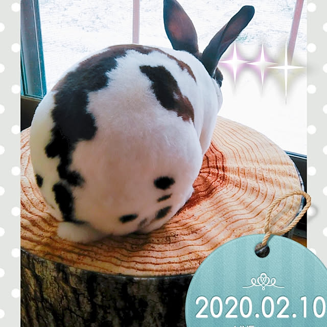 Aogasukiさんの実例写真