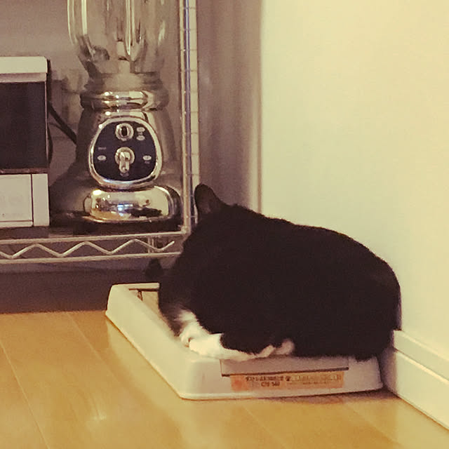 keIgoさんの実例写真