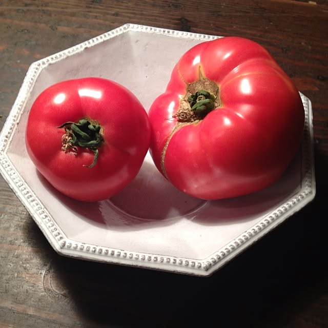 Kiet8さんの実例写真