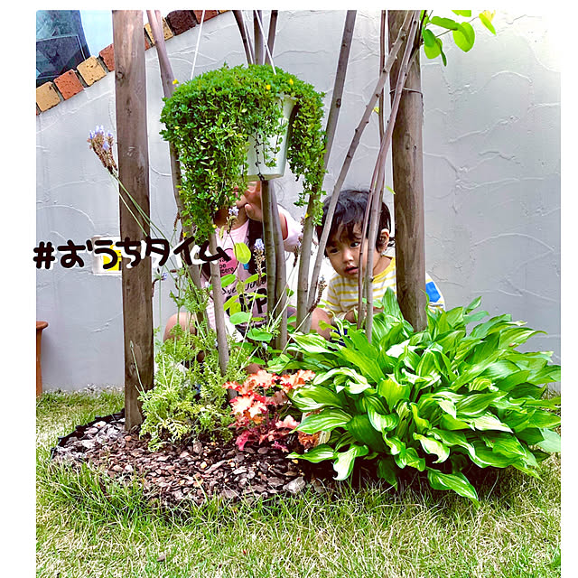 hinamamaさんの実例写真