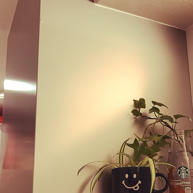 usapippiさんの実例写真