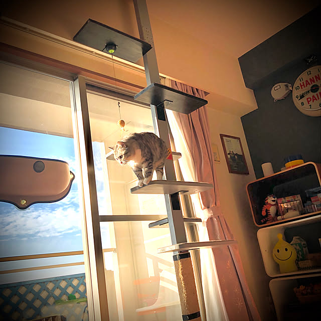 Shojiさんの実例写真