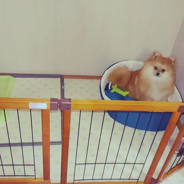 Rinaさんの実例写真