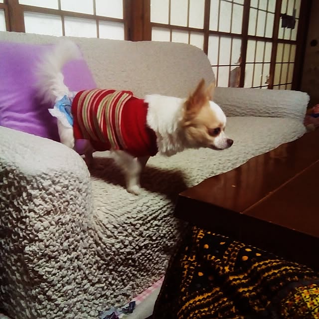 Charlieさんの実例写真