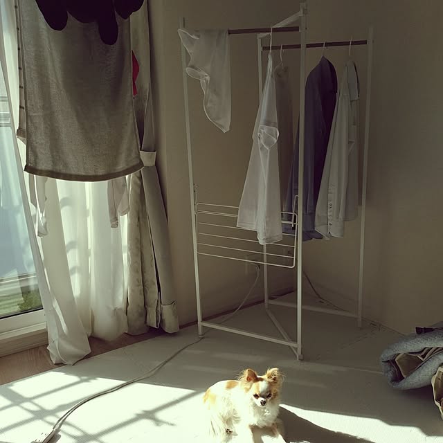 toratanさんの実例写真