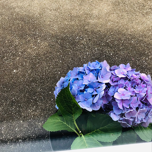 Konokaさんの実例写真