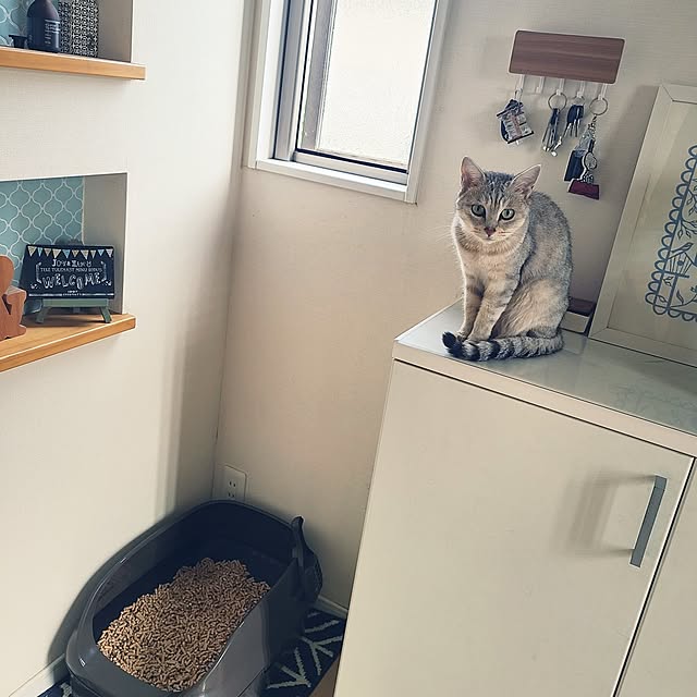 yucocoさんの実例写真