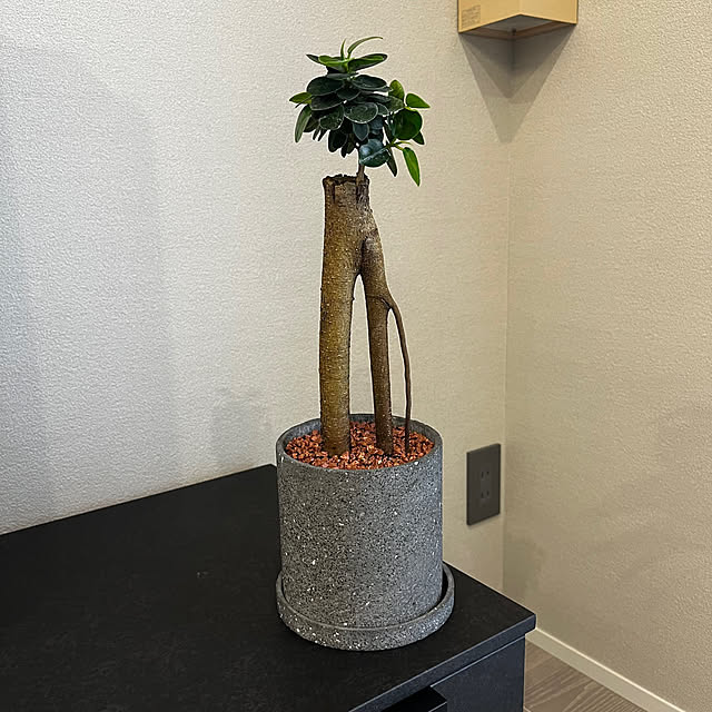 yoshikoさんの実例写真