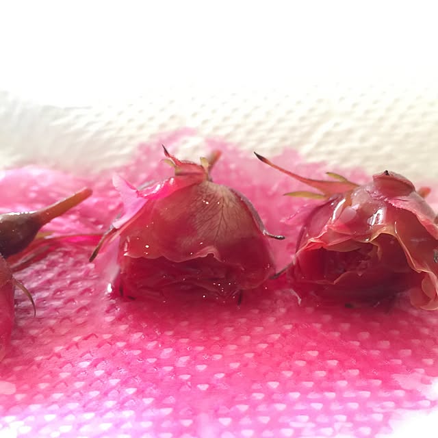 cherryさんの実例写真