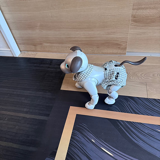 aureaさんの部屋