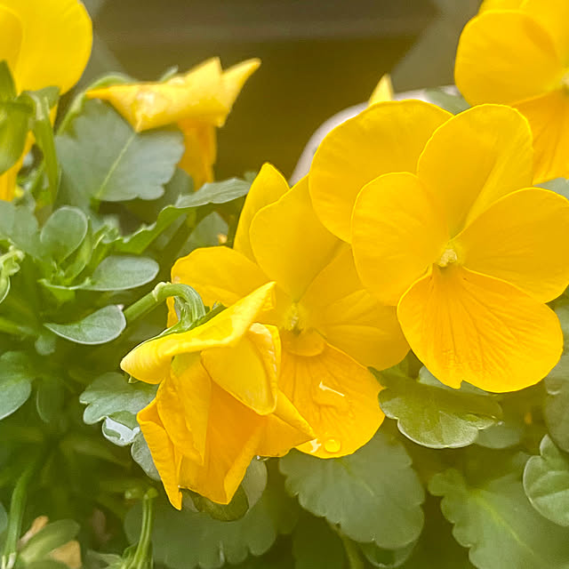 YuuKoさんの部屋