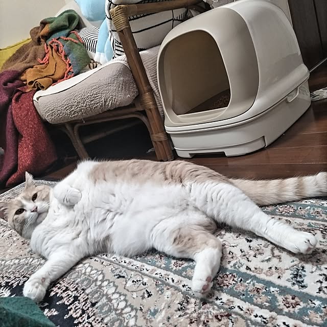 yuuさんの部屋