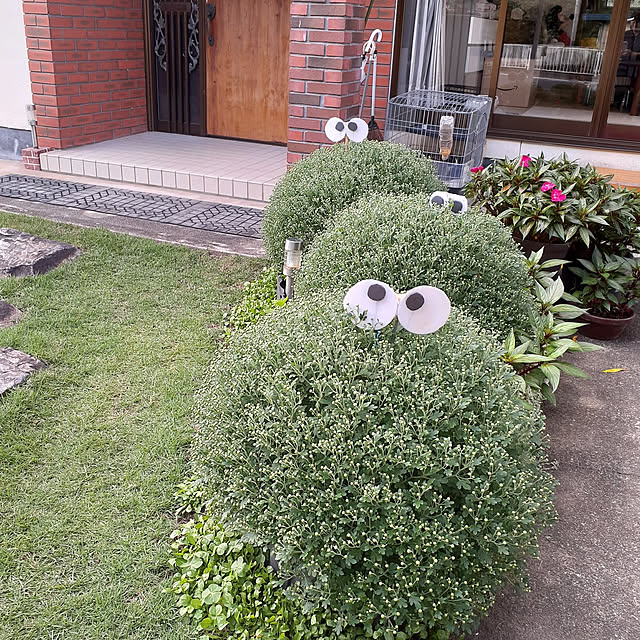 実例写真