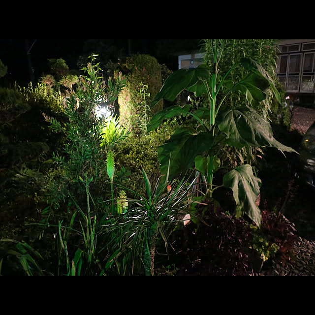 sixflagsさんの実例写真