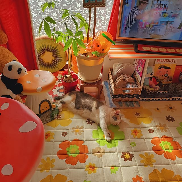 kumutanさんの実例写真