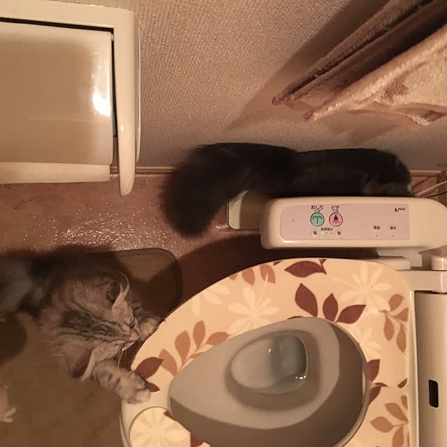 prchさんの実例写真
