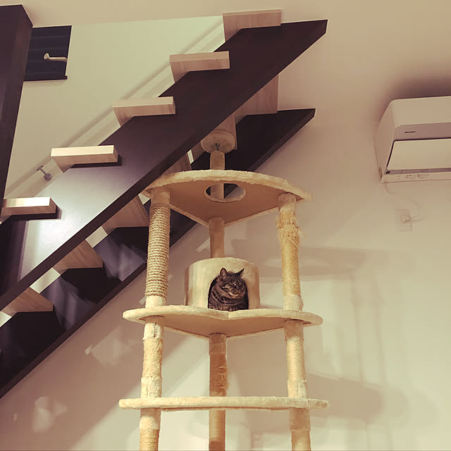 mさんの実例写真