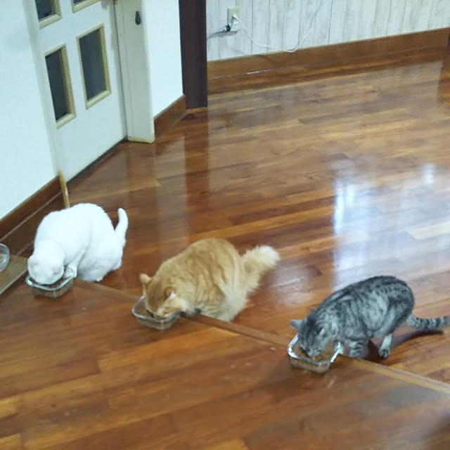 gabさんの実例写真