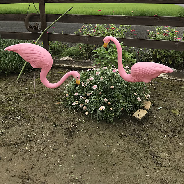 hatsuさんの実例写真
