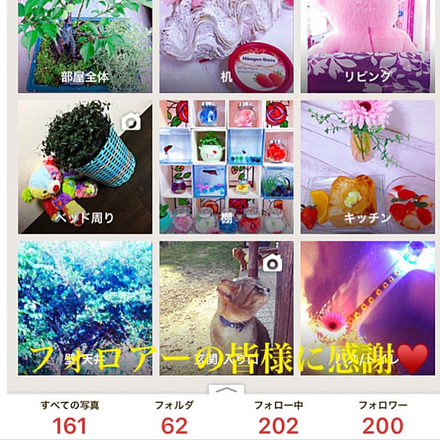 koyuriさんの実例写真