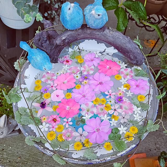 mocomocoさんの実例写真