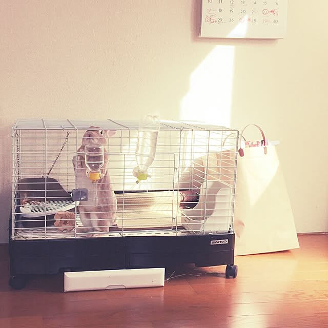 fruityanさんの実例写真