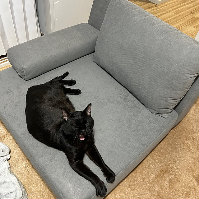 mimiさんの実例写真