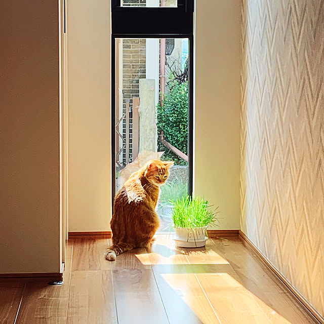 nacicoさんの実例写真
