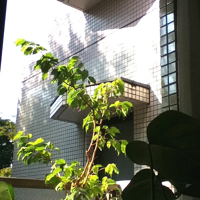 emichanbooさんの実例写真