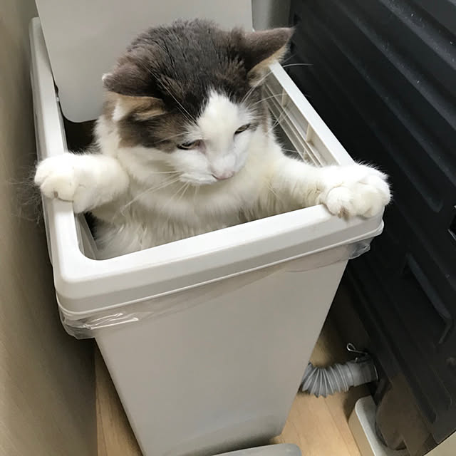 masakoさんの実例写真