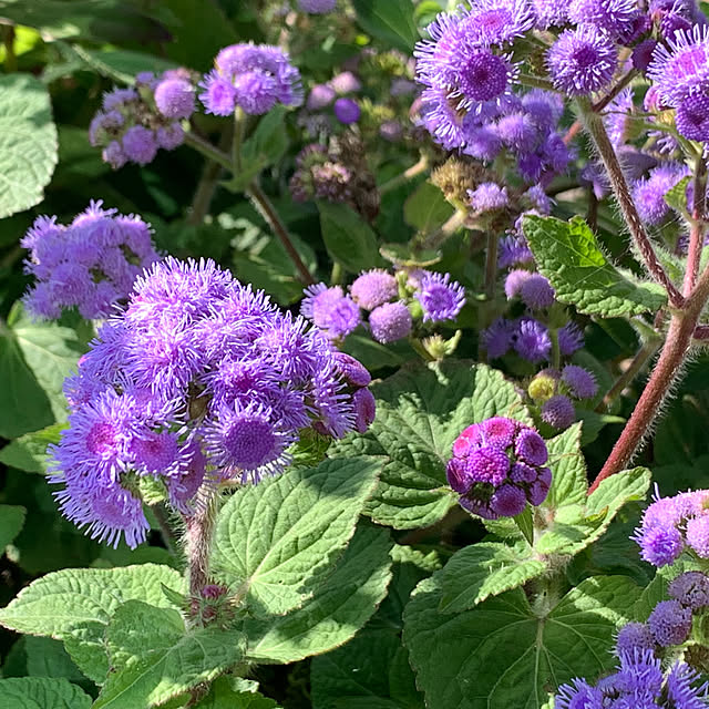 tututu0204さんの部屋