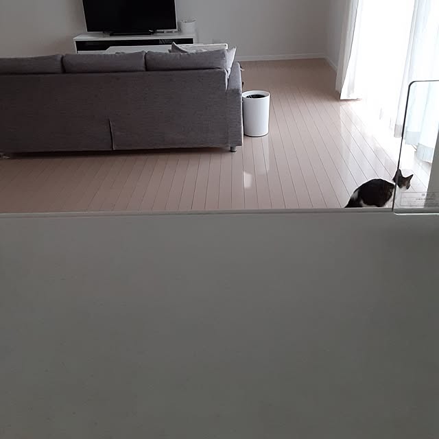 saosanさんの部屋