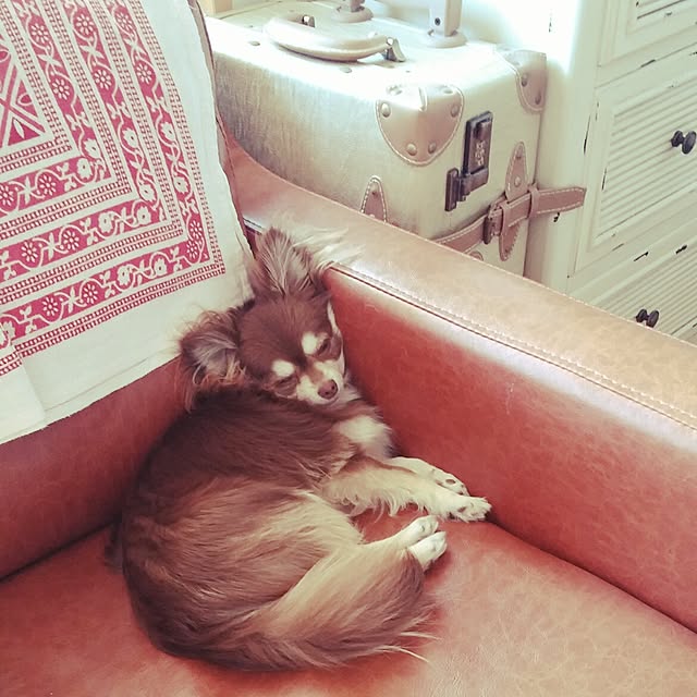 ysmさんの実例写真
