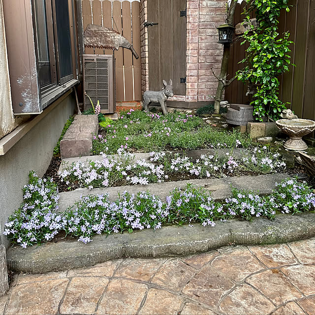 tabasaさんの部屋