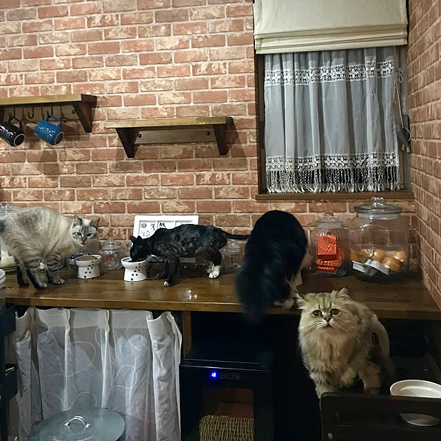 butachanさんの実例写真