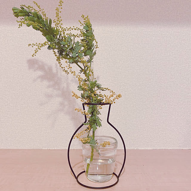 グリーンのある暮らし/みどりのある暮らし/花のある暮らし/玄関/入り口のインテリア実例 - 2020-02-06 15:05:42