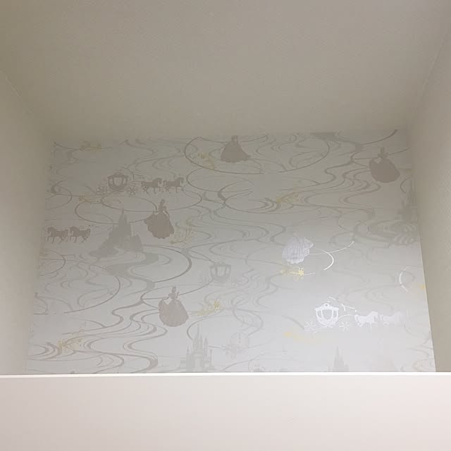 aririさんの実例写真