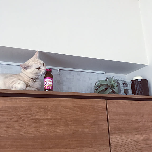 hiyupan88さんの実例写真