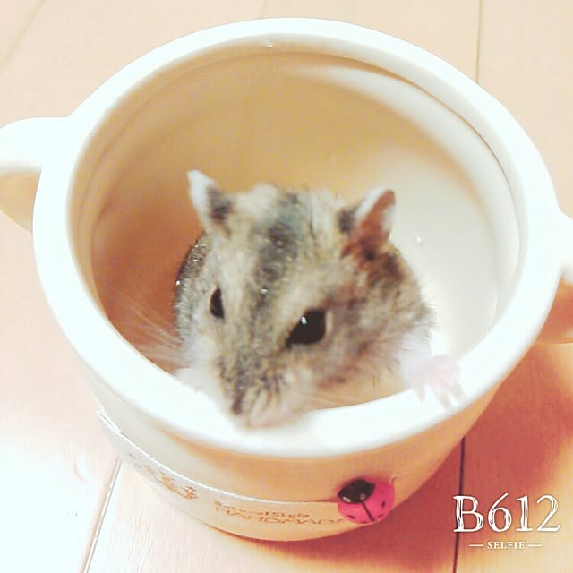 bitsさんの実例写真