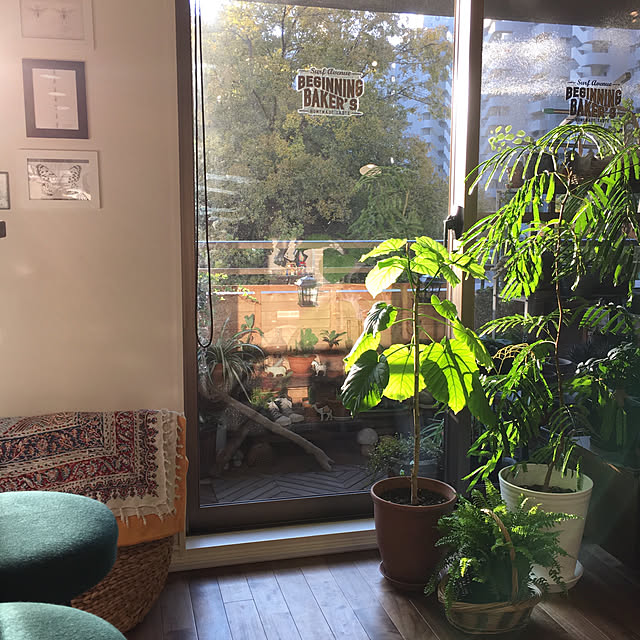 kan2さんの実例写真