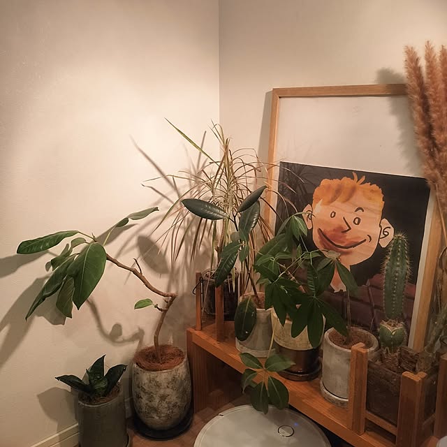 ayumiさんの実例写真