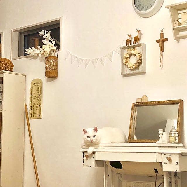 kaoさんの実例写真