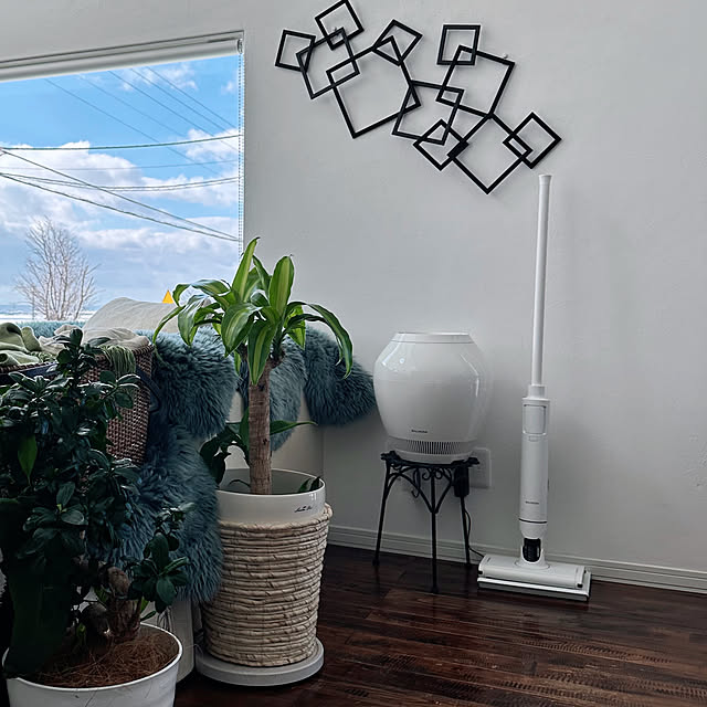 壁/天井/掃除機もここに有ります/バルミューダ　レイン/バルミューダ/愛用品...などのインテリア実例 - 2026-02-04 23:53:11