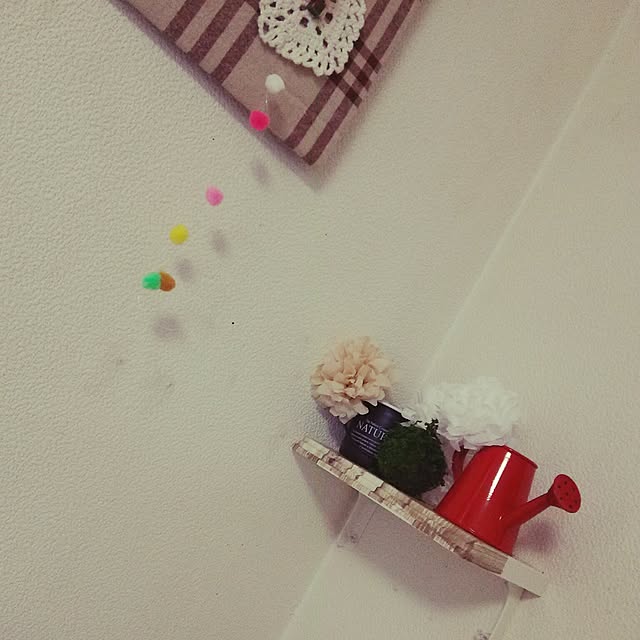 namizoさんの実例写真
