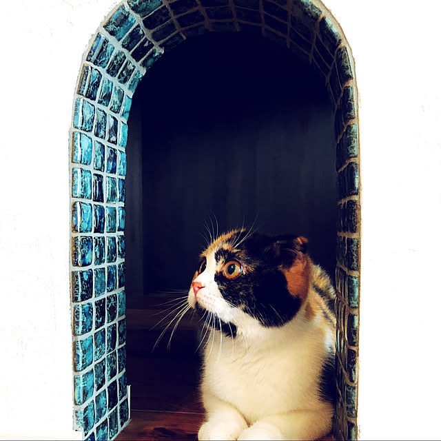 keiさんの実例写真