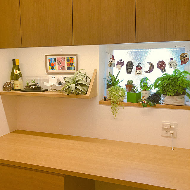 観葉植物/棚のインテリア実例 - 2020-09-20 13:59:26